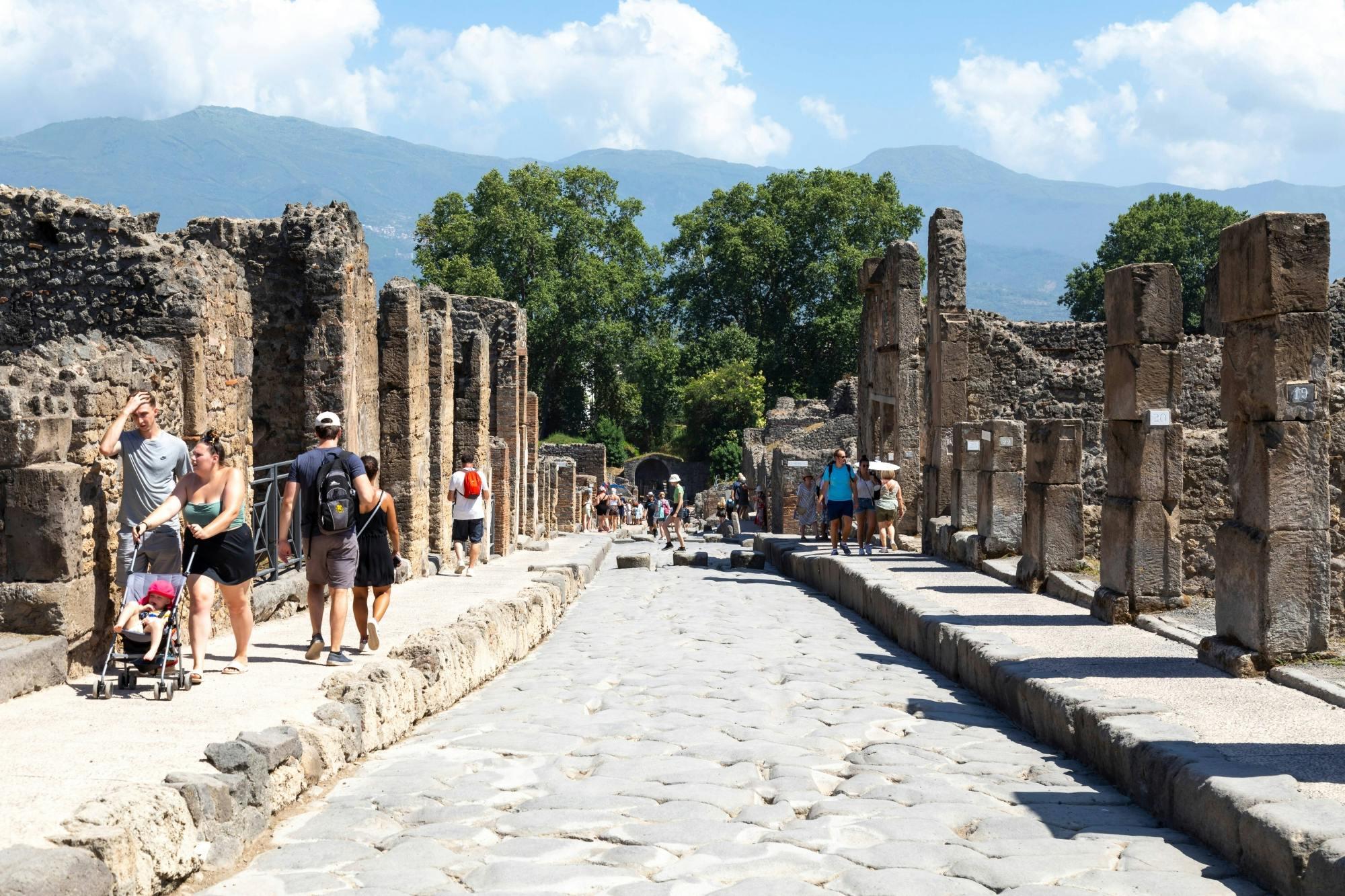 Pompeji und Herculaneum Ganztagestour mit lokalem Mittagessen ...
