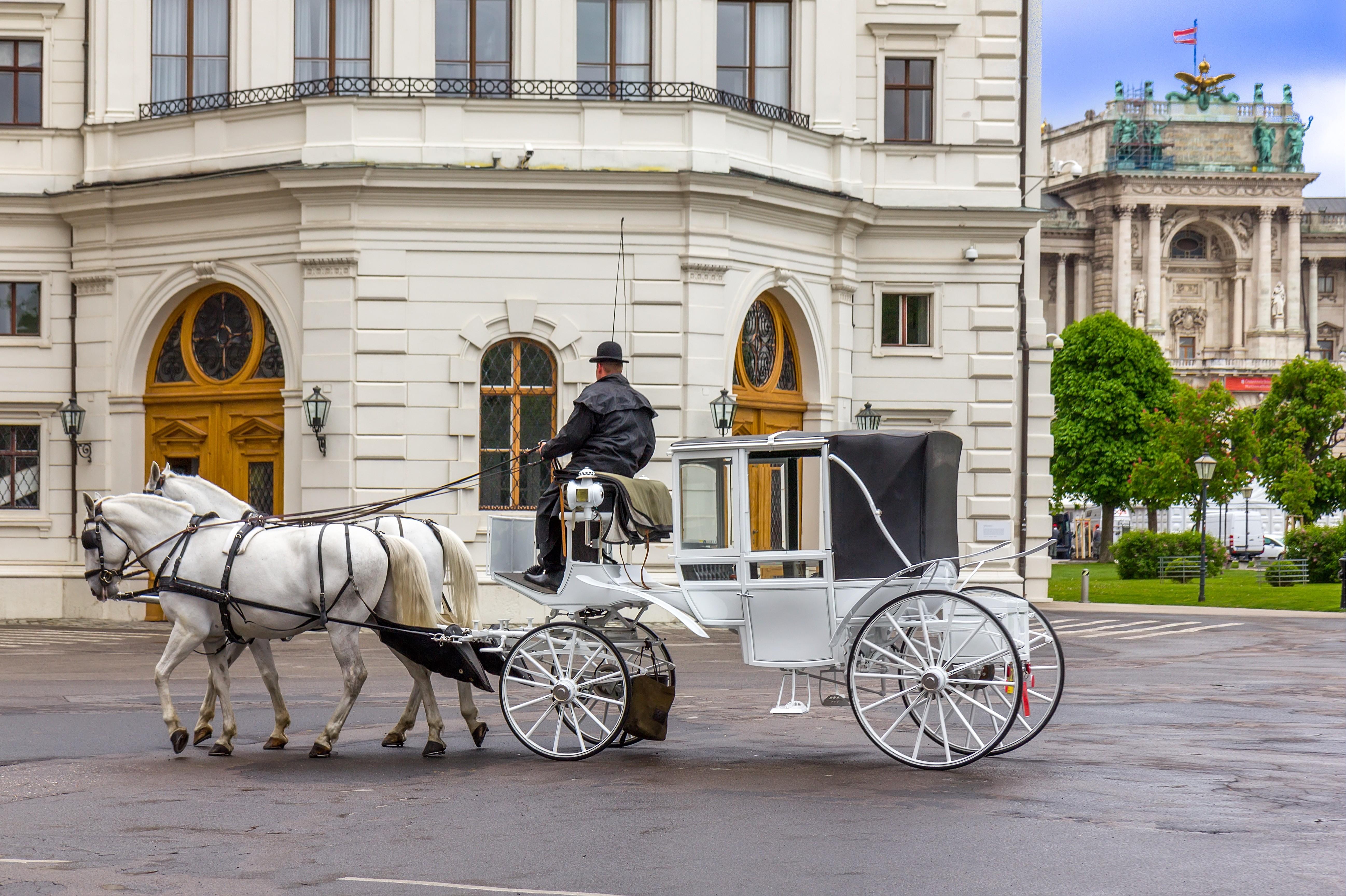 Mit dem Fiaker durch Wien - Wien - Arrivalguides.com