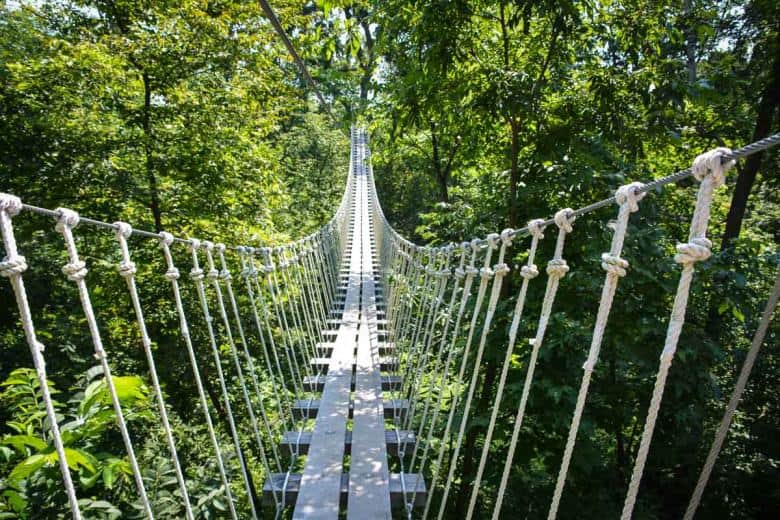 Diese Hängebrücke war Teil der Canopy Tour. Auch wenn die Brücke total sicher war, so war sie doch eine Herausforderung für jeden Teilnehmer mit ein wenig Höhenangst.