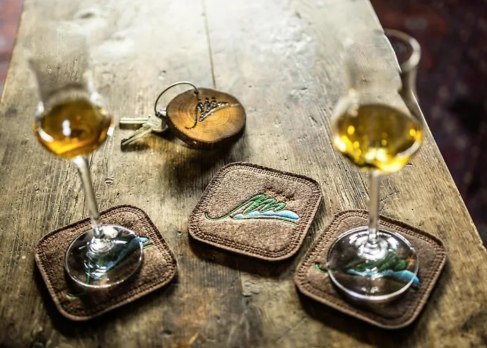 Erstklassiges Webcam Hotel Sommer Füssen in Bayern