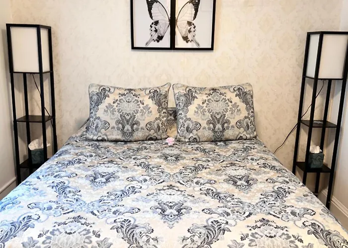 Best Pet Friendly Hotels Near Washington D.C.