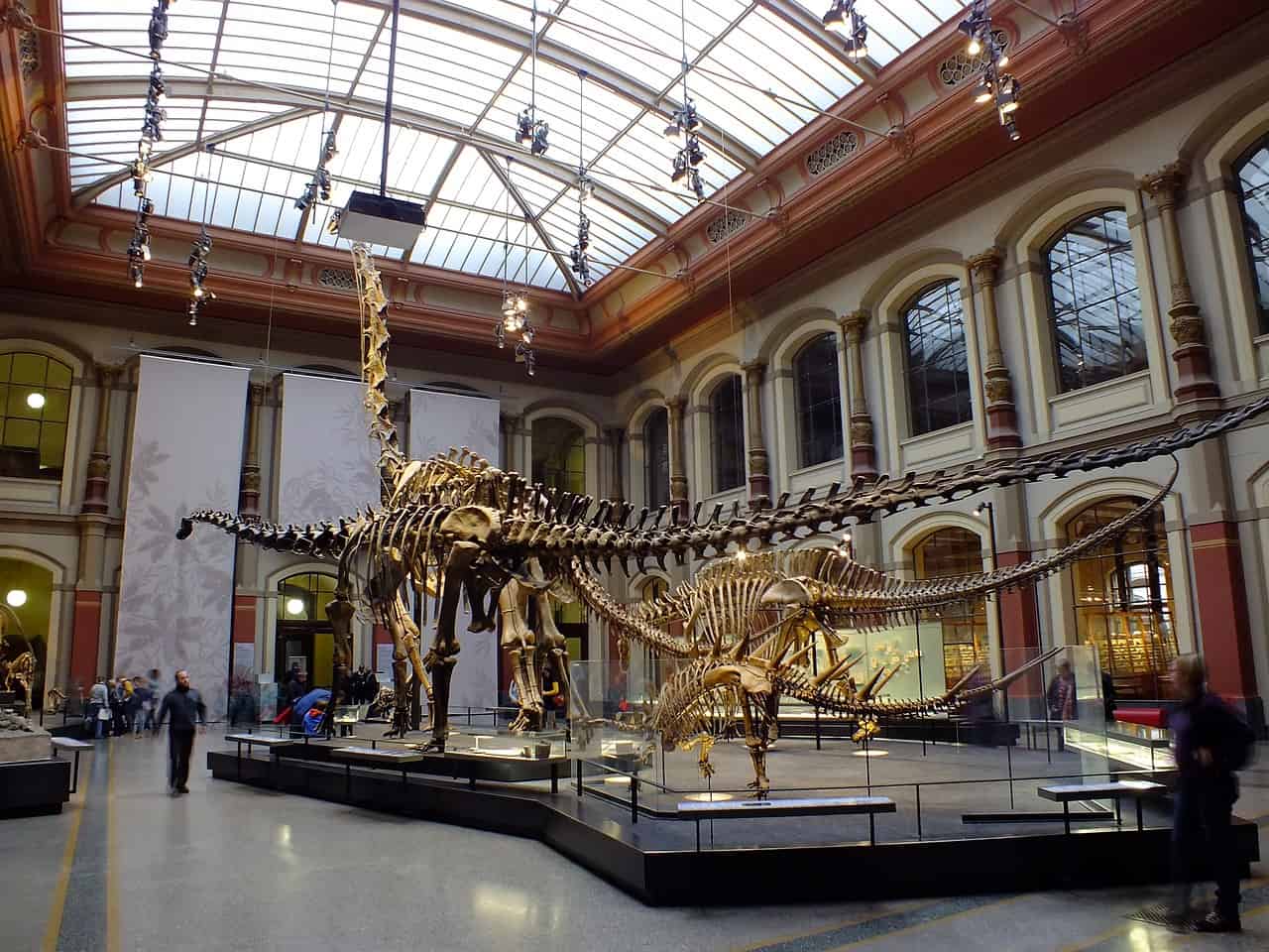 Naturkundemuseum Berlin